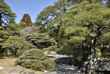 京都御所　早春の御内庭(京都市上京区)