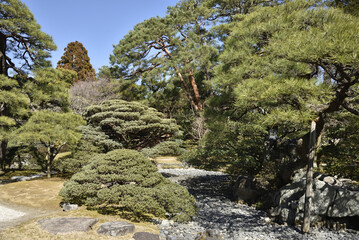 京都御所　早春の御内庭(京都市上京区)