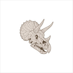 dinosaur bone drawing artwork handmade illustration © WA Design Studio