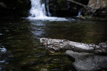 Obraz premium Water flows over rocks in a forested area with trees and a calm stream during the day. Carpathian Mountains, Sukil, Ukraine