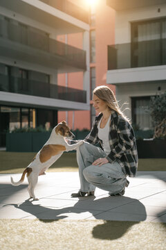 Blonde pretty woman in yard playing with her pet Jack Russell terrier. training class, teaching tricks. Sunny windy day outside with dog. vertical composition