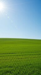 Obraz premium A vast, lush green hillside stretching towards the horizon under clear bright sunlight, symbolizing natural growth, expansive terrain, and peaceful environment ,slope ,outdoor ,bright