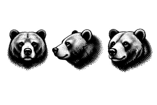 Brown bear head with broad muzzle and rounded ears shown in front view, side profile, and three-quarter angle with realistic ursine proportions. Black and