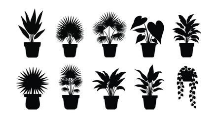 A collection of nine potted houseplants depicted as black silhouettes against a white background high quality © arfanah02