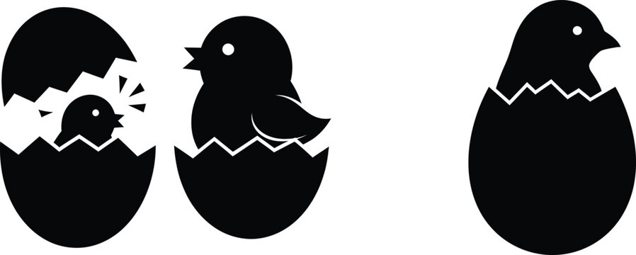 Three stages of a chick hatching from an egg in black silhouette
