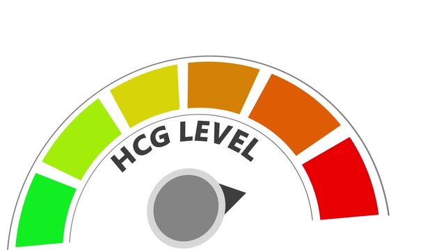 HCG Level Meter Gauge indicator