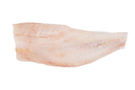 Raw redfish fillet isolated on white background. Fresh marine seafood ingredient for cooking.