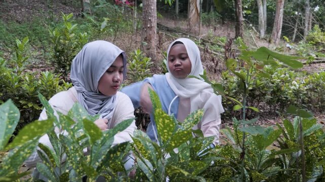 Two young Asian Muslim girls observing plants and trees in a forest park, chatting and enjoying nature together on a sunny morning