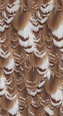Close-up Macro View of Natural Bird Feather Pattern Texture.