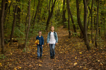 Fototapeta premium Two boys walking on a forest path in autumn, wearing casual clothes and backpacks, surrounded by trees and fallen leaves.