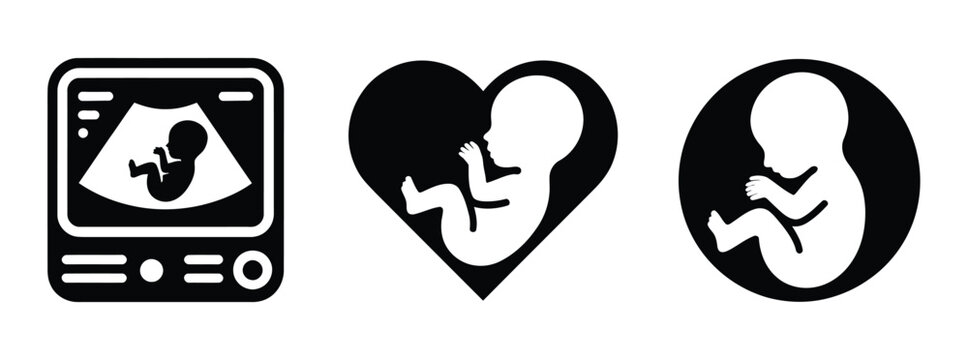 Human fetus embryo in womb silhouette icon set, prenatal development vector illustration showing baby inside uterus, pregnancy and maternal health concept icons isolated on transparent background for 