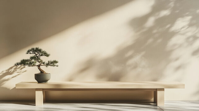 Minimalist interior scene featuring a small bonsai tree on a wooden bench against a beige wall with soft natural tree shadow casting for a serene and zen aesthetic background