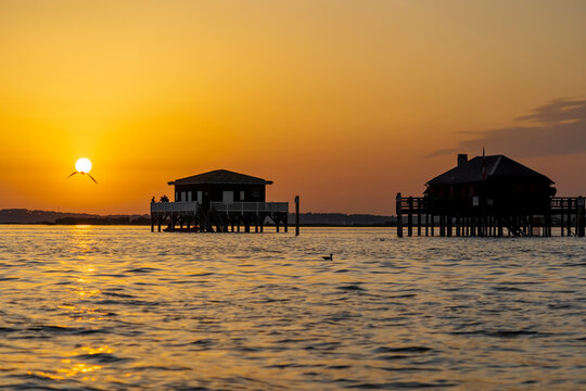 Les Cabanes Tchanqu&eacute;es, sur l'&icirc;le aux Oiseaux, au milieu du Bassin d'Arcachon en Gironde sont l'une des attractions touristiques les plus visit&eacute;es.