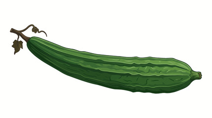 vegetable