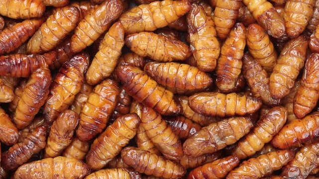 Pile of fried silkworm pupae rotating slowly. Top view shot