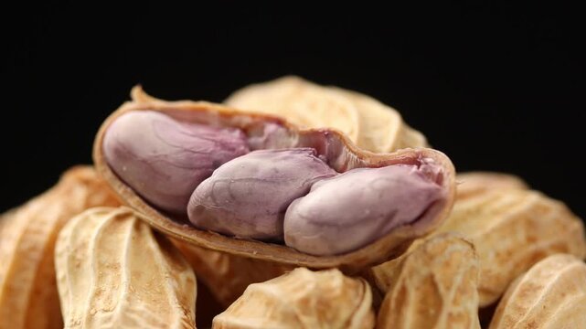 boiled peanut kernels inside an open shell on a whole peanuts in shell rotating slowly on black background
