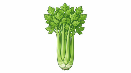 celery isolated on white background