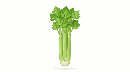 celery isolated on white background