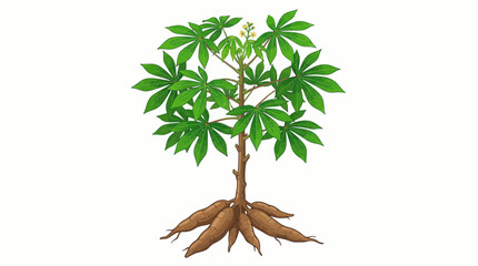 tree isolated on white background