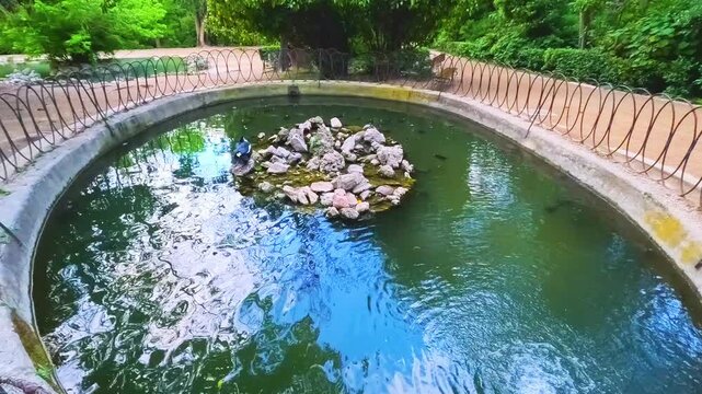 Attica Zoological Park in Athens, Greece with pond slider turtles trachemys scripta swimming in green, algae covered water in summer