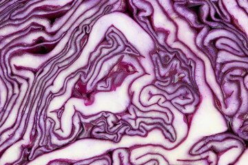 Obraz premium red cabbage close up