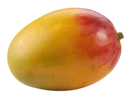 Mango with yellow and red skin fruit yellow mango red mango