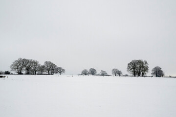 elias walpot photographie