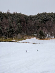 Scenic view of a snowy ski run with dense trees and snowboarders on an overcast day