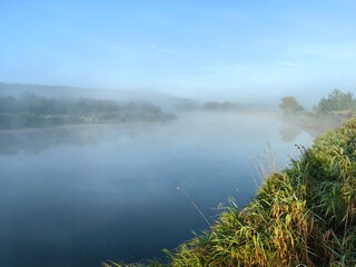 Dawn with wild grasses and dew, fog, summer landscape.
