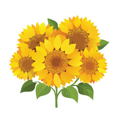 Obraz premium Vibrant sunflowers bouquet against white backdrop