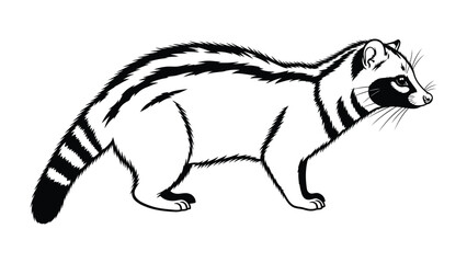Obraz premium Civet Cat Illustration: An elegant illustration of a civet cat, showcasing its distinctive markings and graceful form.