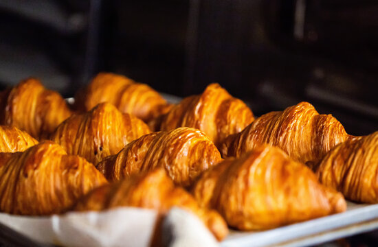 Close up view of numerous freshly baked golden croissants on baking tray, highlighting flaky pastry texture, rich brown crust, fresh from production oven