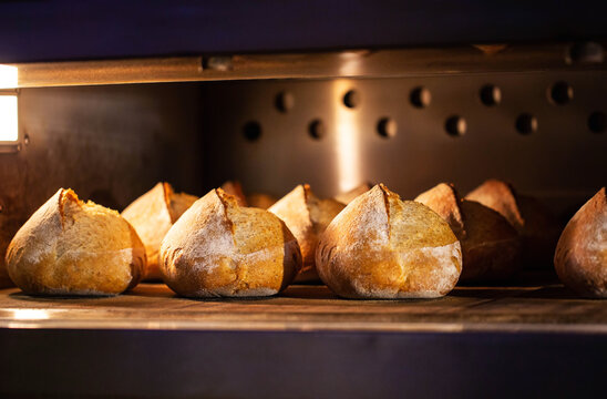 Freshly baked artisan bread loaves cooking in a commercial oven, golden crust developing under warm interior lighting, rustic bakery product.