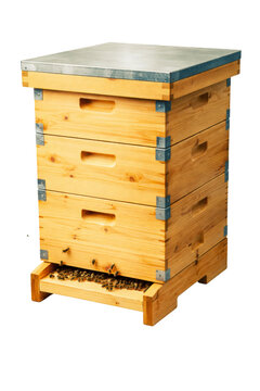 wooden beehive with a metal roof, showing multiple layers and a landing board with several bees buzzing around, set against a clean white background.