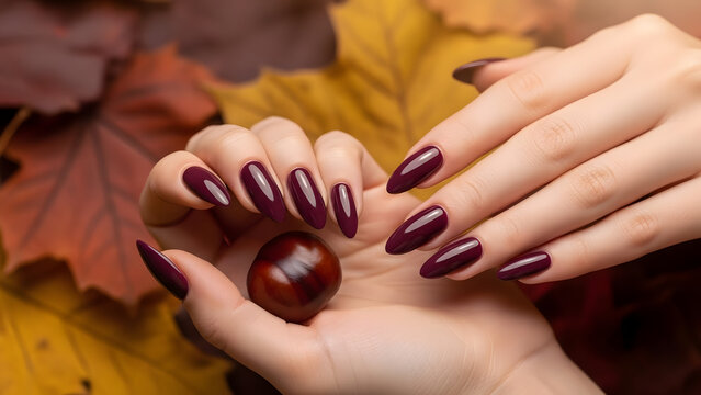 Long almond shaped nails with dark burgundy maroon manicure holding a chestnut. Autumn beauty and fashion concept, deep red nail polish on elegant woman hands. Professional nail art with fall leaves 