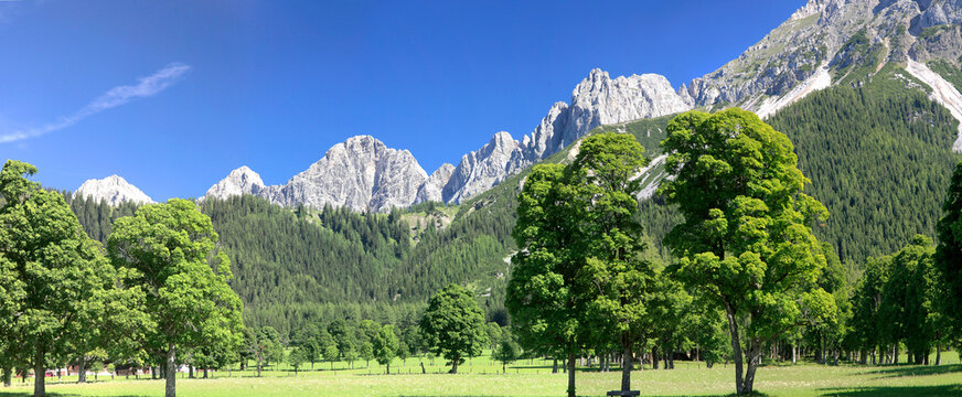 Dachsteingebirge im Fr&uuml;hling, &Ouml;sterreich, Panorama 