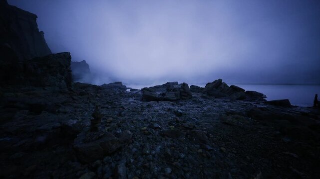 dawn cliff transect under low light, rocky substrate and tidal habitat, ecology survey vibe with mist and field equipment footprints, research narrative