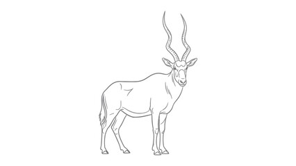 Elegant Addax Sketch: A graceful Addax antelope stands tall, its unique, spiraled horns reaching towards the sky, showcasing the beauty of the desert's most resilient survivor. © Murshida
