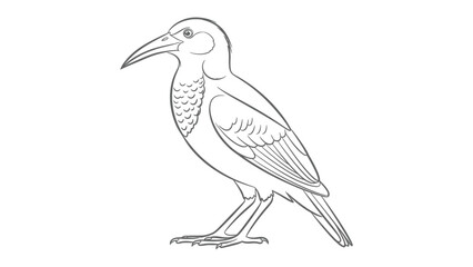 Obraz premium Minimalist Crow Contour: A refined pen sketch of a crow, the image is a minimalist illustration, showcasing the bird's form and intricate feather details. 