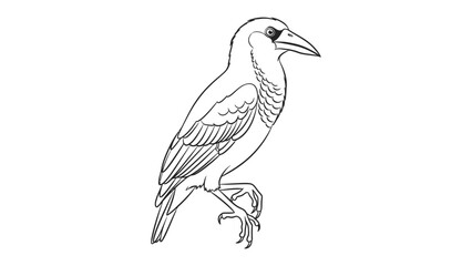 Obraz premium Intricate Raven Sketch: A detailed, monochromatic drawing of a raven perched, its keen eye and elegant form captured in a precise, artistic rendering.