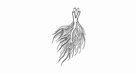 Fototapeta premium Detailed illustration of plant roots branching downwards