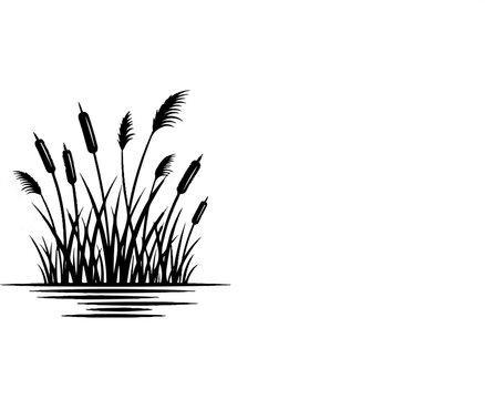 Black silhouette of cattails growing from water, artistic sketch