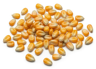 Fototapeta premium Orange popcorn kernels on white background isolated