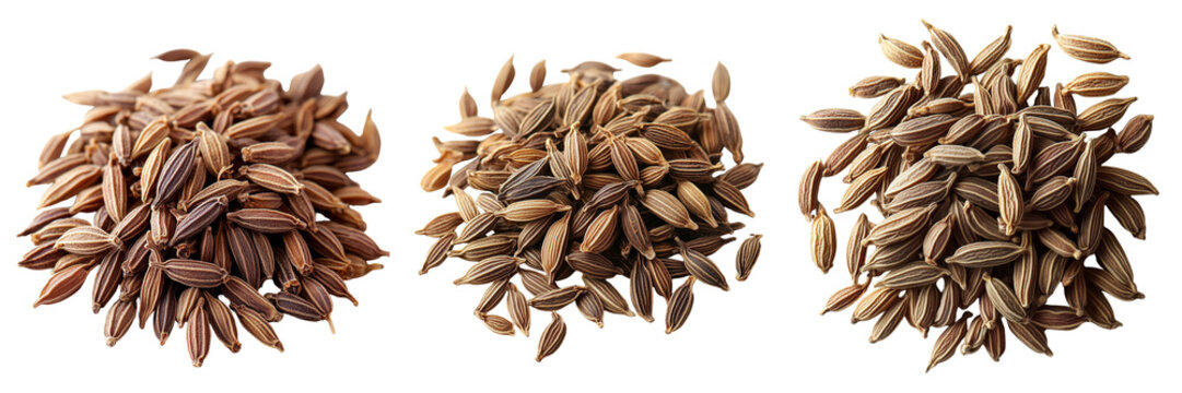 Dried aromatic cumin spice ingredients transparent or white background