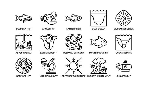Deep sea exploration: anglerfish, abyss habitat, and bioluminescent marine life