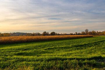 A late autumn landscape with golden light illuminating the fields and autumn trees. Świętokrzyskie Voivodeship, Poland   © krysek