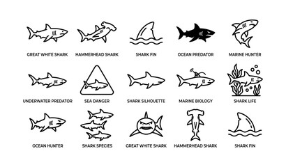 Fototapeta premium Great white and hammerhead shark icons depicting ocean predators in marine biology