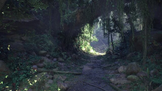 shadowed woodland corridor framed by vines leading to sunlit clearing, damp soil, scattered boulders, hush of forest, ideal hiker waypoint and discovery scene