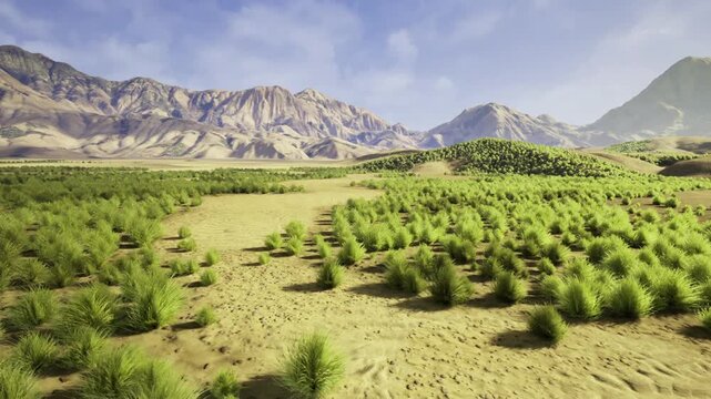 thriving rewilding scrub across foothills with patchy regeneration, ideal for community restoration stories, volunteer campaigns, and ecological outreach