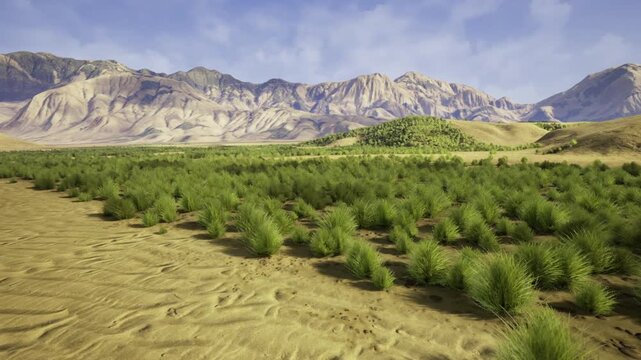 sunlit shrubland surveyed for solar development potential, flat terrain and minimal shading offering promising renewable energy opportunity and feasibility
